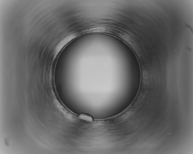 X0000101691426200807171425