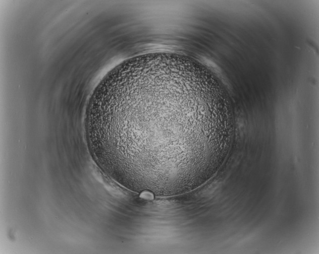 X0000101691427200807171425