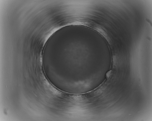 X0000101691428200807171425