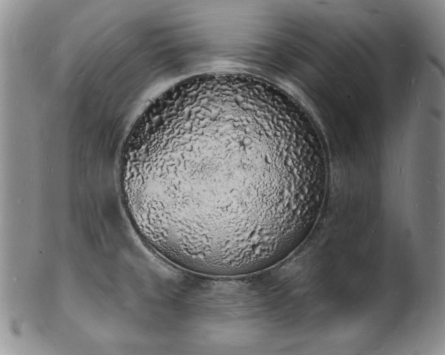 X0000101691429200807171425