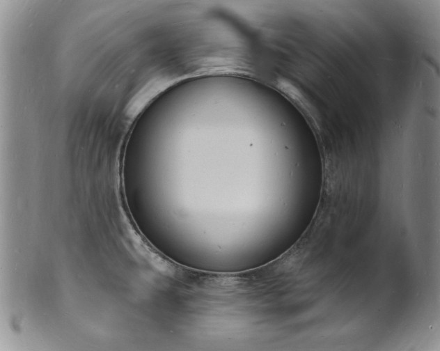 X0000101691431200807171425