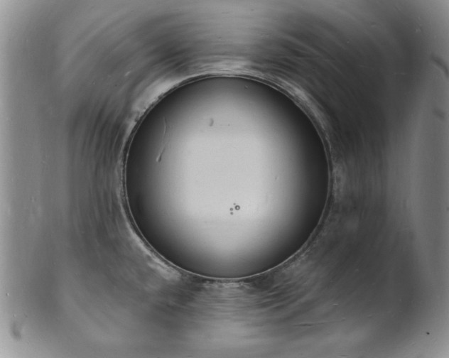 X0000101691432200807171425