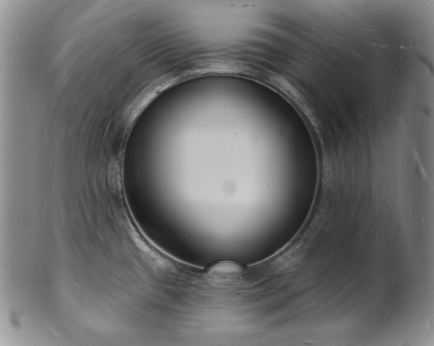 X0000101691433200807171425