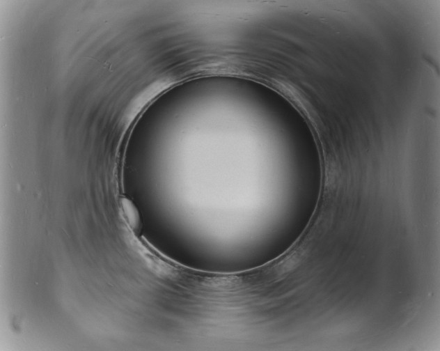 X0000101691434200807171425