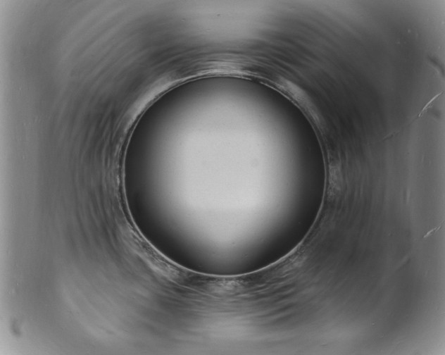 X0000101691435200807171425