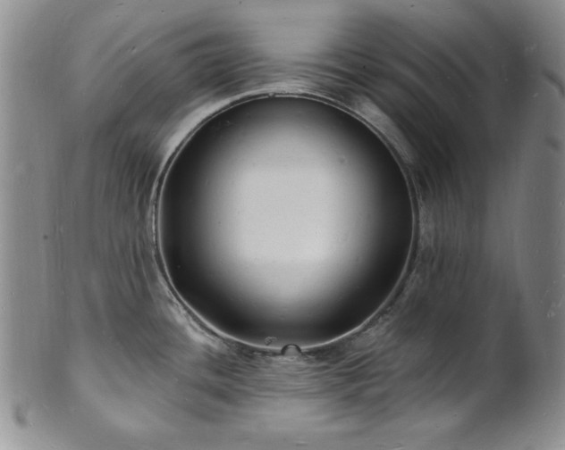 X0000101691436200807171425