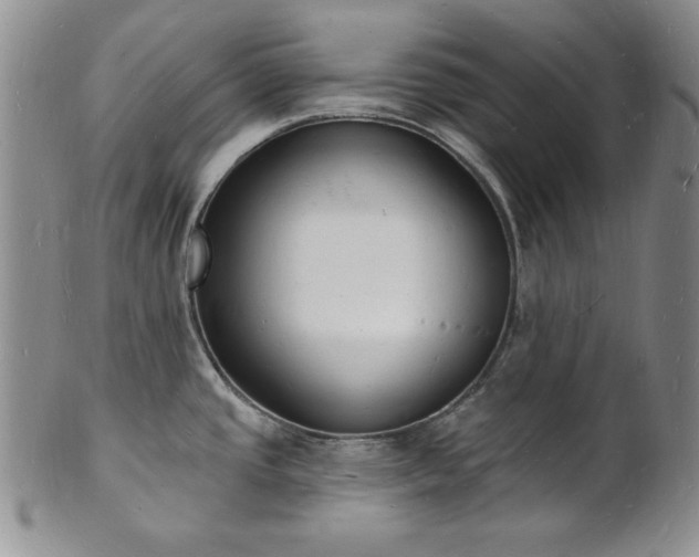 X0000101691437200807171425