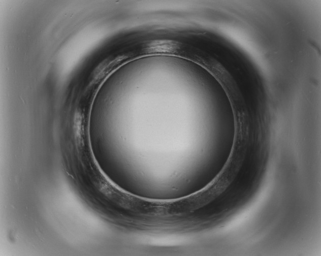 X0000101691438200807171425