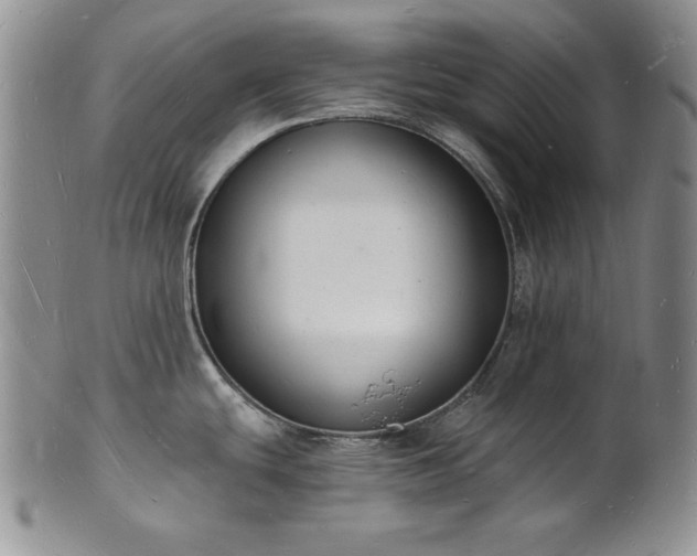 X0000101691439200807171425