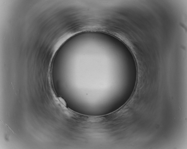 X0000101691440200807171425