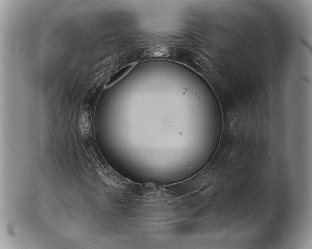 X0000101691442200807171424