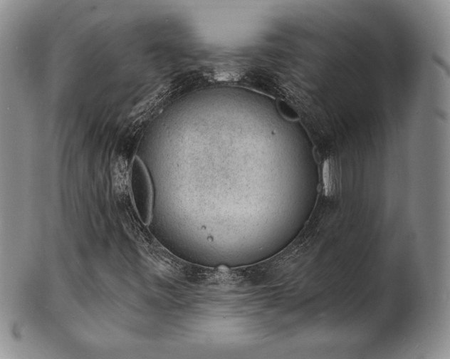 X0000101691443200807171424