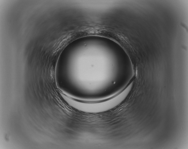 X0000101691444200807171424