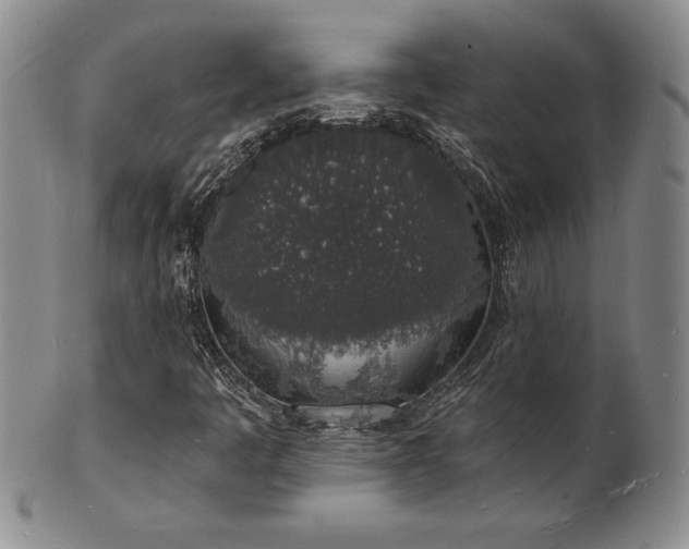 X0000101691445200807171424