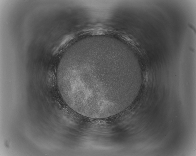 X0000101691446200807171424