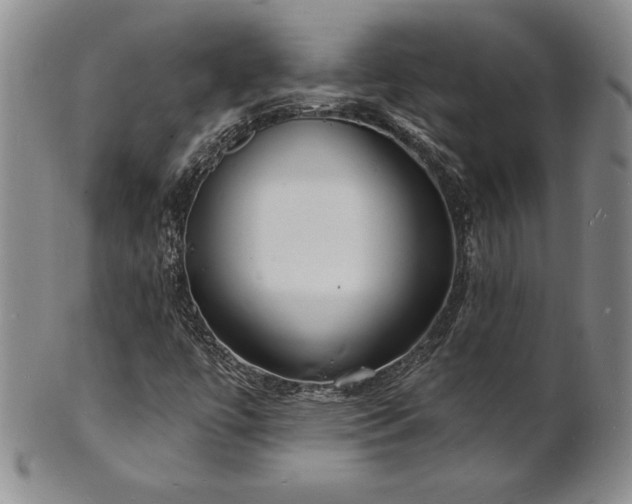 X0000101691447200807171424