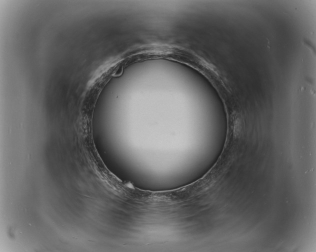 X0000101691448200807171424