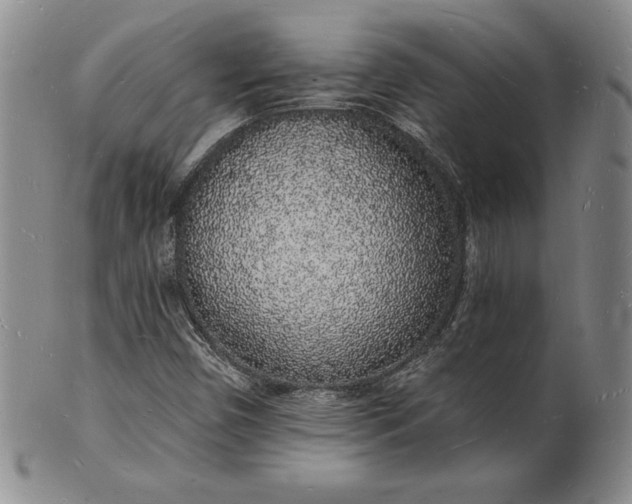 X0000101691450200807171424