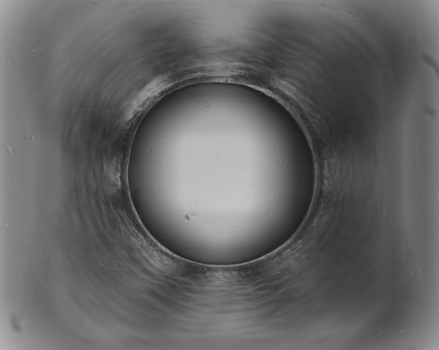 X0000101691451200807171424