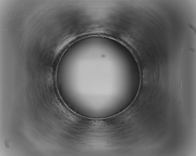 X0000101691452200807171424