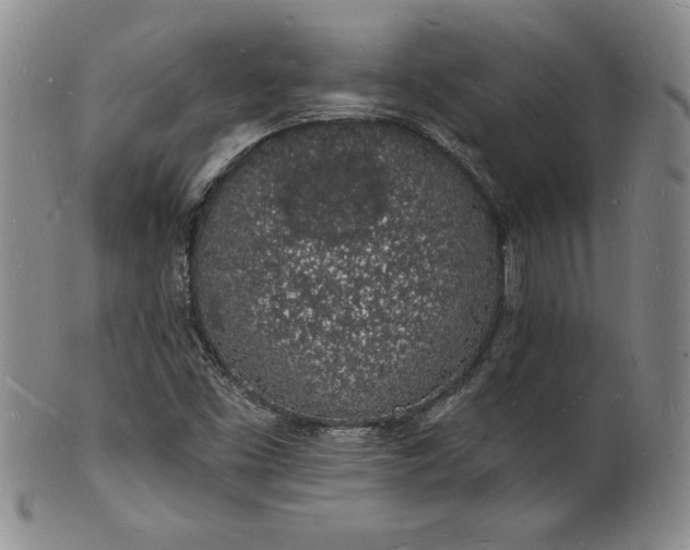 X0000101691453200807171424