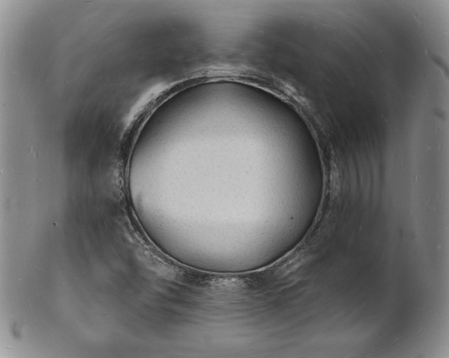 X0000101691454200807171424