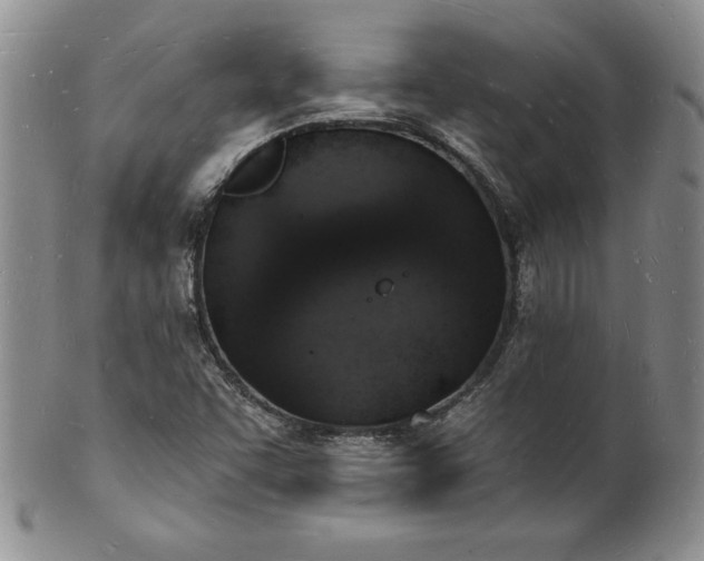 X0000101691455200807171424