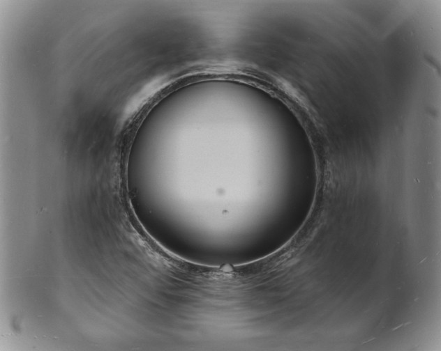 X0000101691456200807171424