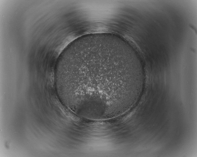 X0000101691457200807171424