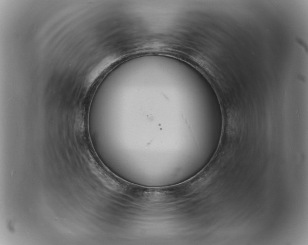 X0000101691458200807171424