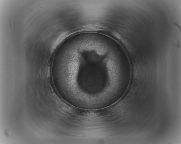 X0000101691459200807171424