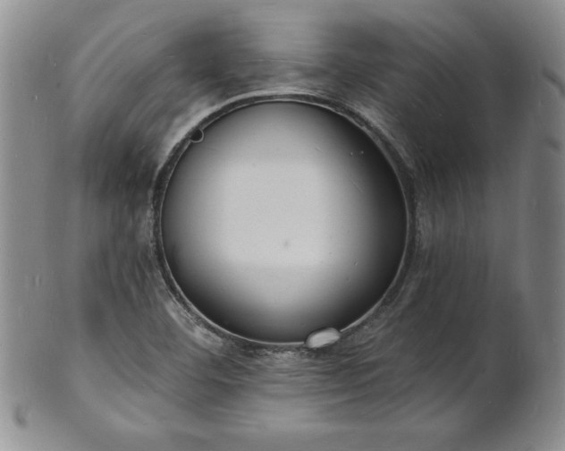 X0000101691460200807171424