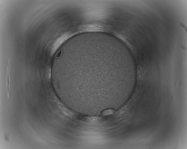 X0000101691461200807171424