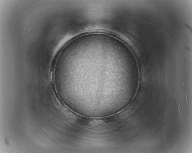 X0000101691462200807171424