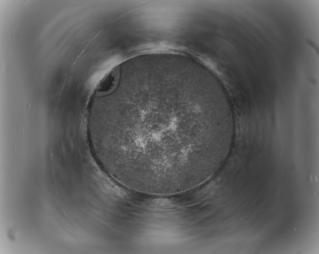 X0000101691463200807171424