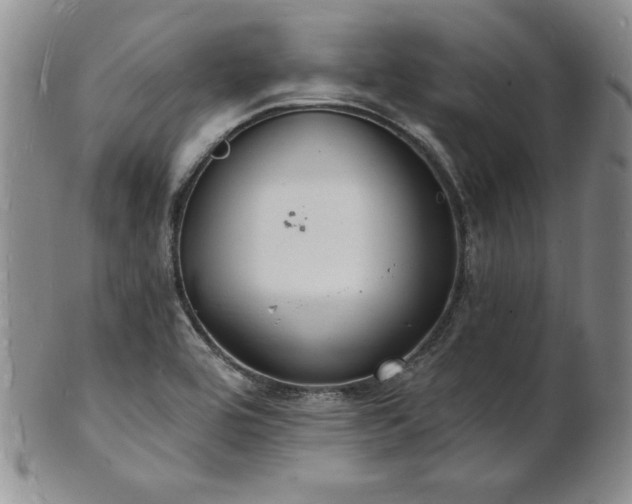 X0000101691464200807171424