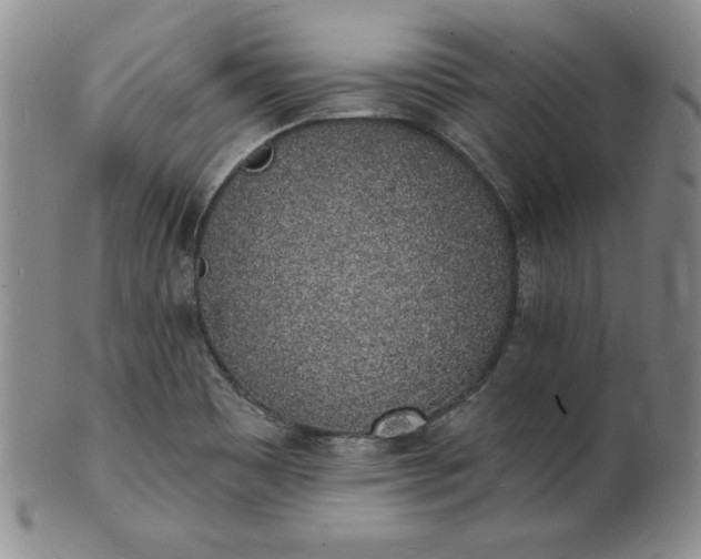 X0000101691465200807171424