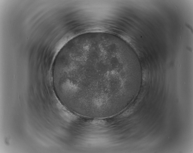 X0000101691466200807171424