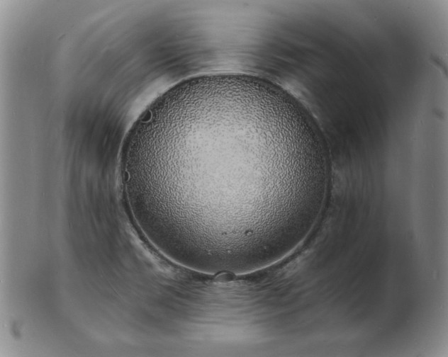 X0000101691469200807171424