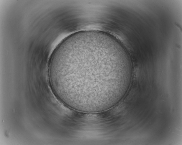 X0000101691470200807171424