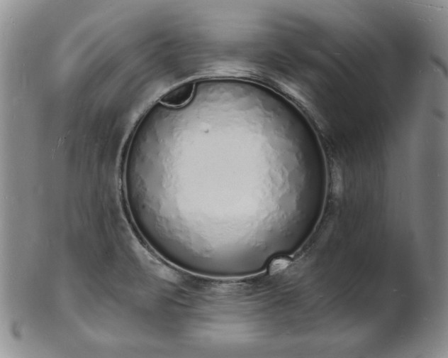 X0000101691471200807171424