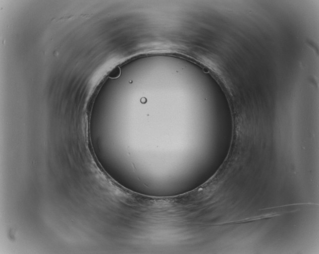 X0000101691472200807171424