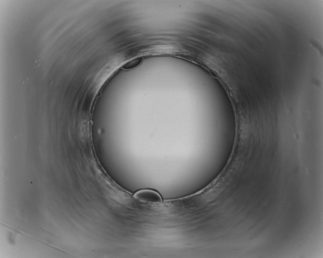 X0000101691473200807171424