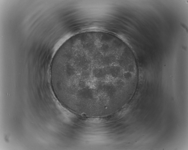 X0000101691474200807171424