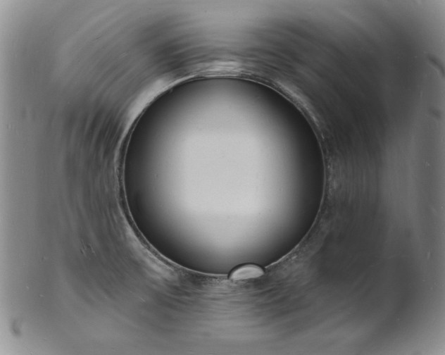 X0000101691475200807171424