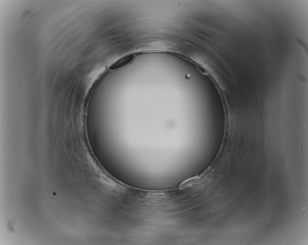 X0000101691477200807171424