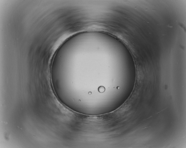 X0000101691478200807171424