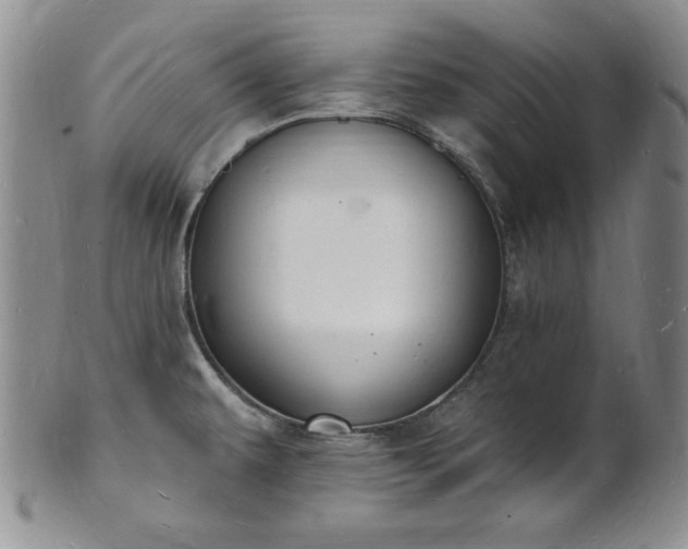 X0000101691479200807171424