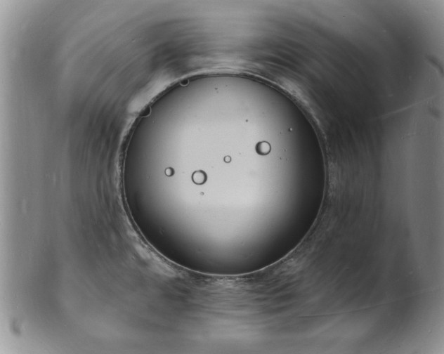 X0000101691480200807171424