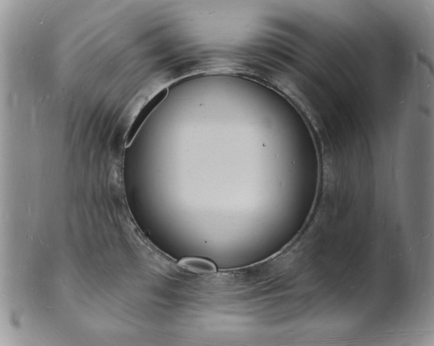 X0000101691481200807171424